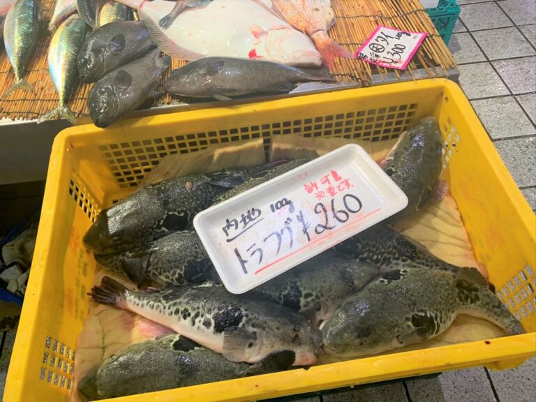 【いくのなスポット】巨大水槽にびっくり!鮮魚ならお任せ「活魚センター大昌総業」 – いくのぐらし